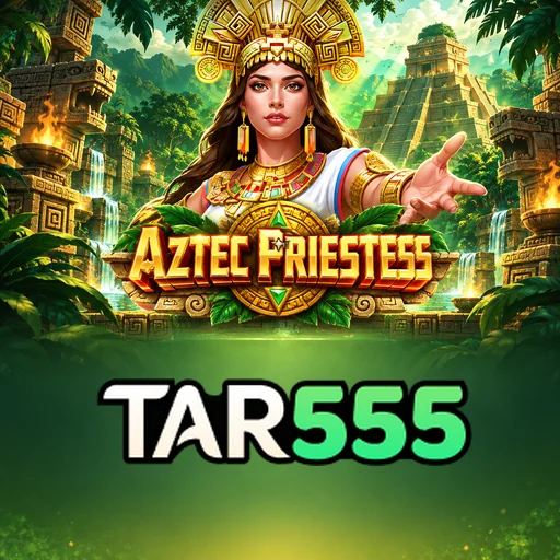 tar555 Version Comparison